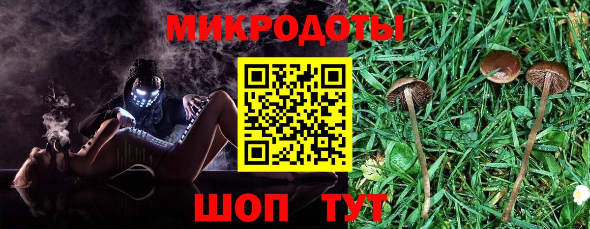 Коряжма  Псилоцибиновые грибы прущие грибы  Вход с VPN 